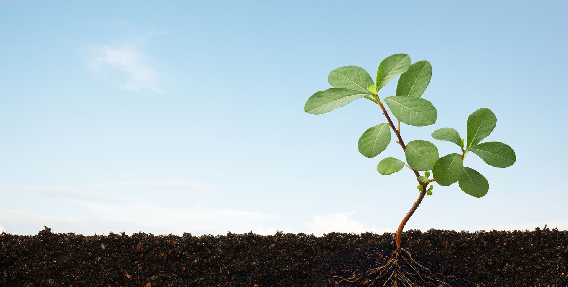 MG冰球突破·(中国)官方网站